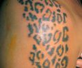 Tattoo of militus