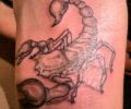 Tattoo of militus