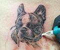 Tatuaje de FidoTattoo