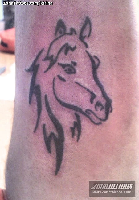 Tattoo of Horses Animals