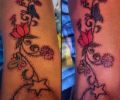 Tattoo of tattpek