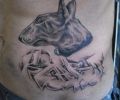 Tattoo of nato49