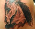 Tattoo of horirata