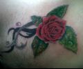 Tattoo of tuliojose