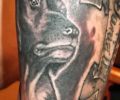 Tattoo of ISMAELTATTOO