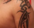 Tattoo of culebratattoo23