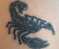 Tattoo of insano22