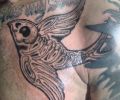 Tattoo of Juan_Cortina