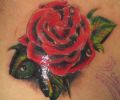 Tattoo of oeste