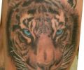 Tattoo of serra320d