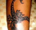 Tatuaje de gorilax