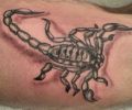 Tattoo of mechas1976