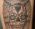 Tattoo of serra320d