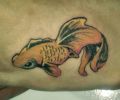 Tattoo of alejodreamtatto