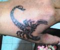 Tattoo of NicoM