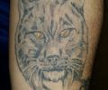 Tattoo of Dani_Tattoo_Mlg