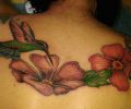 Tattoo of tuliojose