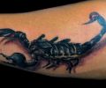 Tattoo of parasito