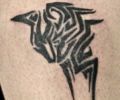 Tattoo of cameltattoo