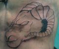 Tatuaje de Shago0