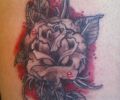 Tattoo of serra320d