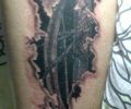 Tatuaje de balbinordgz