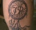 Tattoo of serra320d