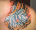 Tattoo of Shago0