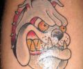 Tattoo of peludotattoo