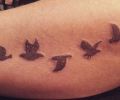 Tatuaje de DanitzaAriana