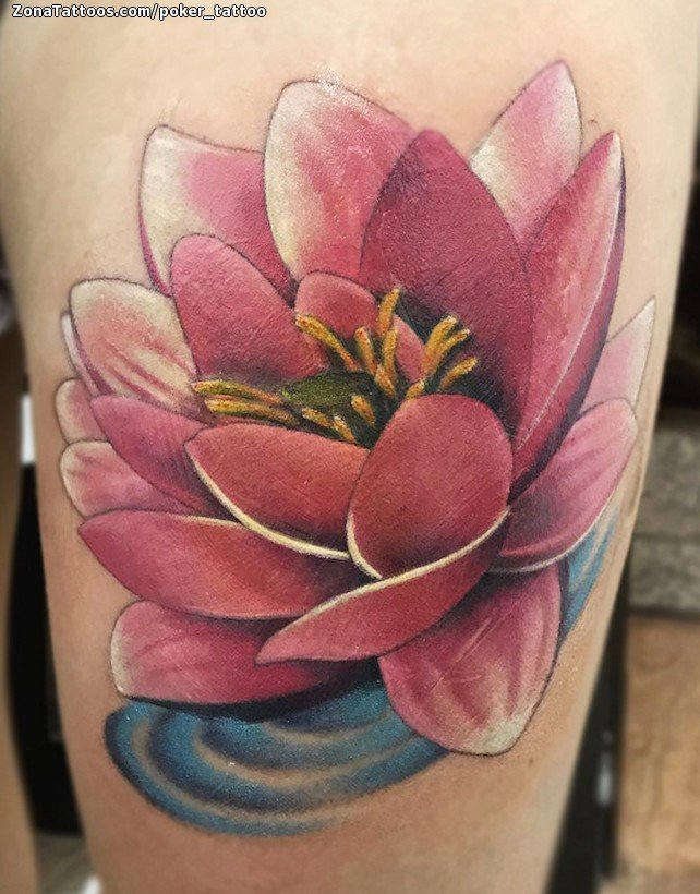 Tattoo of Flowers, Lotus