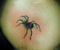 Tattoo of Miguel_Cely