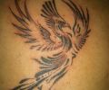 Tattoo of oeste