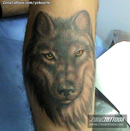 Tatuaje de Lobos, Animales