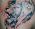 Tattoo of Miguel_Cely