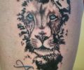 Tattoo of serra320d