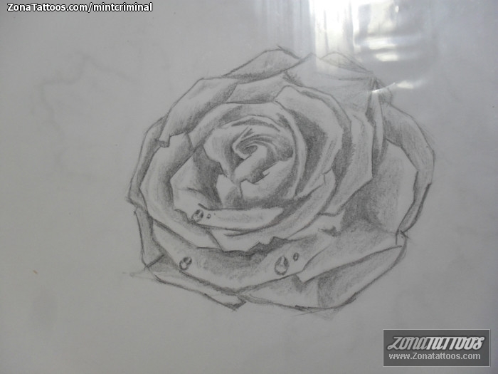 Tattoo flash photo Roses, Flowers