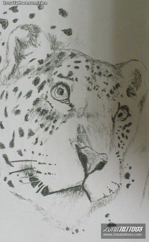 Tattoo flash photo Animals, Leopards