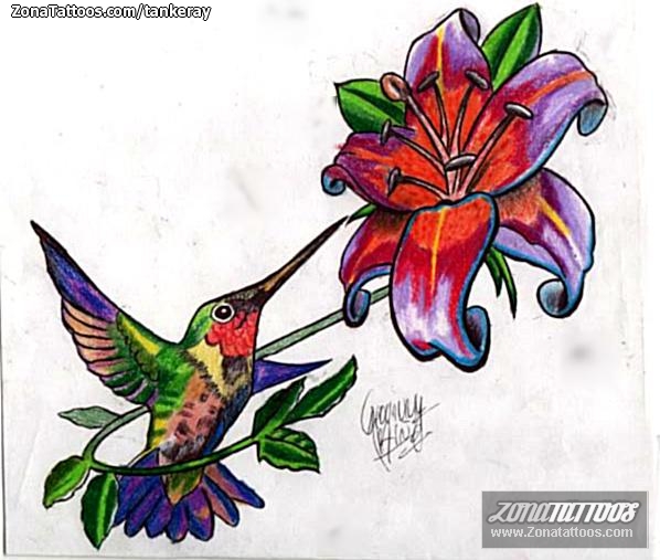 Foto de diseño Flores, Aves, Colibríes