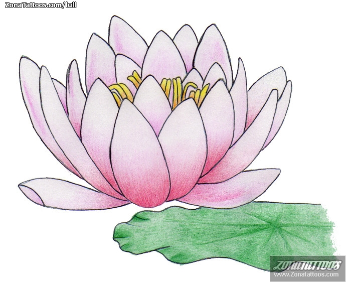 Tattoo flash photo Flowers, Lotus