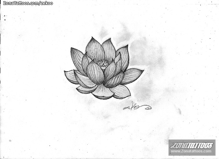 Tattoo flash photo Flowers, Lotus