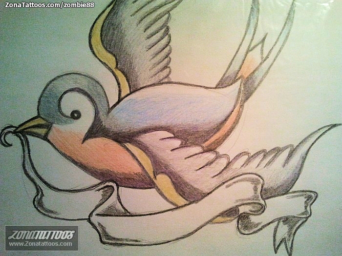 Foto de diseño Golondrinas, Aves, Animales