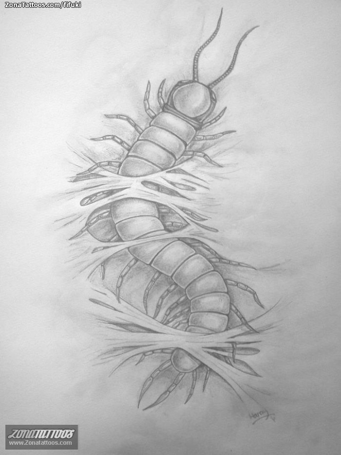 Tattoo flash photo Insects