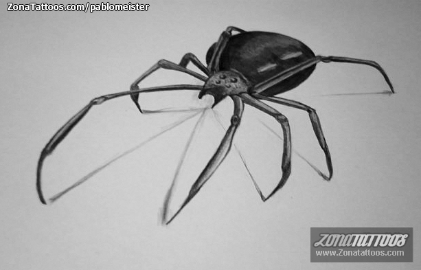 Tattoo flash photo Spiders, Insects