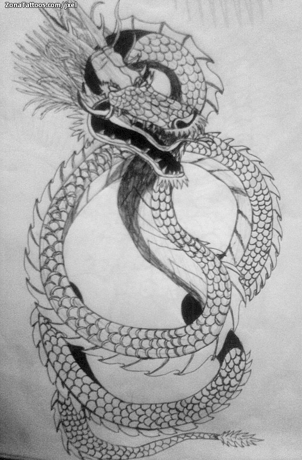 Tattoo flash photo Asian, Dragons