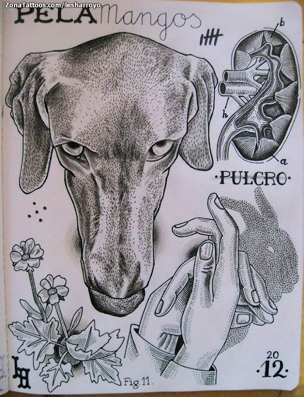 Tattoo flash photo Animals, Flowers, Hands