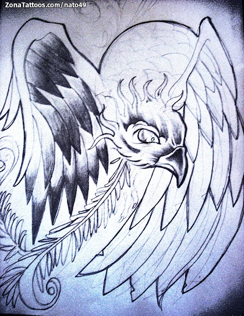 Tattoo flash photo Phoenix, Fantasy