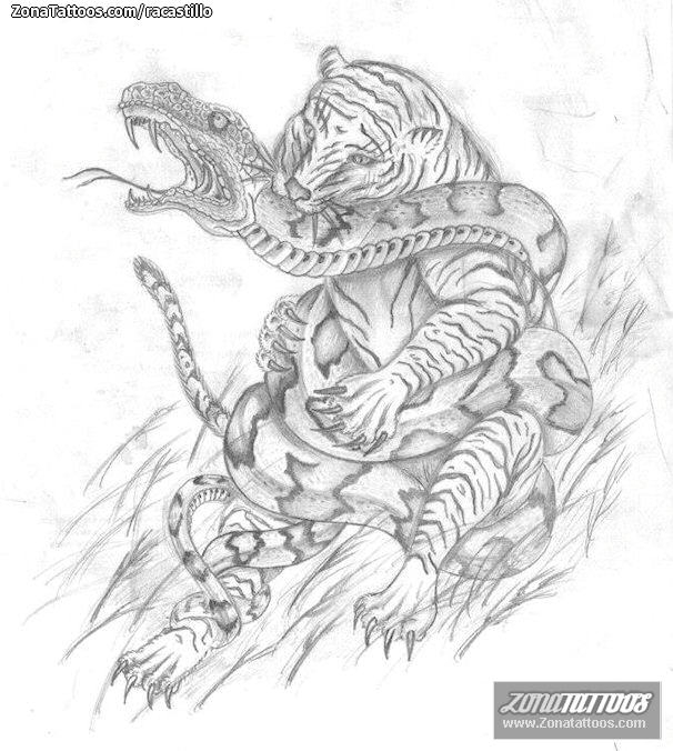 Tattoo flash photo Tigers, Snakes, Animals