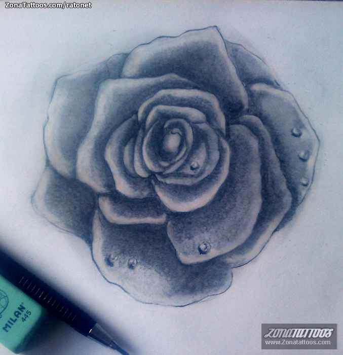 Tattoo flash photo Roses, Flowers