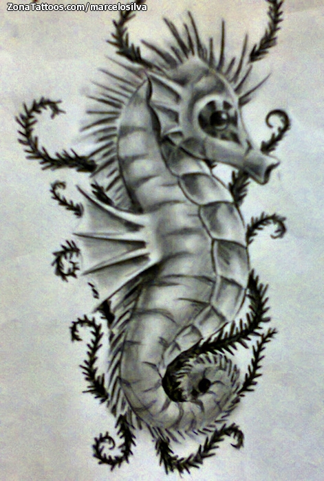 Tattoo flash photo Animals, Seahorses